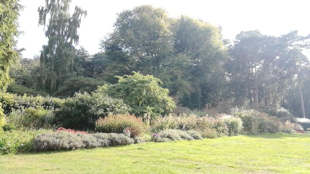 Many Worlds Meet - Eurostar, Wimbledon 30 Mins, Central London, Gatwick 15 Mins - Spacious, Sleeps Up To 16 Plus Cot - Free Wifi, Parking - Next To Lloyd Park, Great For Families, Walkers, Relocators - Ideal For Contractors London Borough of London Borough of Croydon Exteriör bild