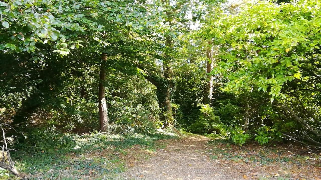 Many Worlds Meet - Eurostar, Wimbledon 30 Mins, Central London, Gatwick 15 Mins - Spacious, Sleeps Up To 16 Plus Cot - Free Wifi, Parking - Next To Lloyd Park, Great For Families, Walkers, Relocators - Ideal For Contractors London Borough of London Borough of Croydon Exteriör bild
