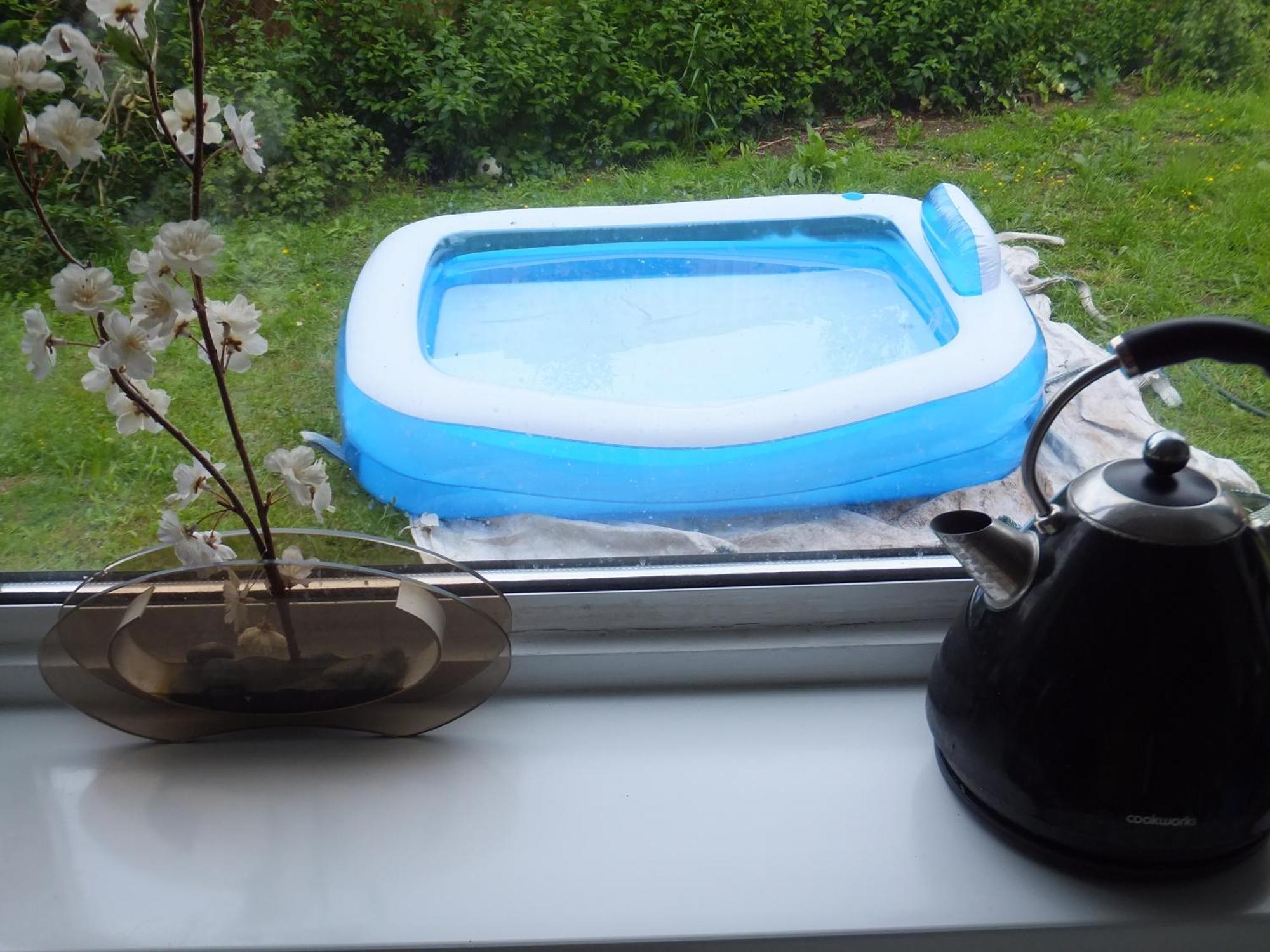 Many Worlds Meet - Eurostar, Wimbledon 30 Mins, Central London, Gatwick 15 Mins - Spacious, Sleeps Up To 16 Plus Cot - Free Wifi, Parking - Next To Lloyd Park, Great For Families, Walkers, Relocators - Ideal For Contractors London Borough of London Borough of Croydon Exteriör bild